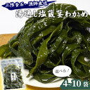 【ふるさと納税】 三陸釜石・漁師直送 湯通し塩蔵茎わかめ 選べる 袋数 4袋 6袋 8袋 10袋 500g 茎わかめ 茎ワカメ 小分け きんぴら 佃煮 漬物 産地直送 お取り寄せ 漁師 隆丸 岩手県 釜石市