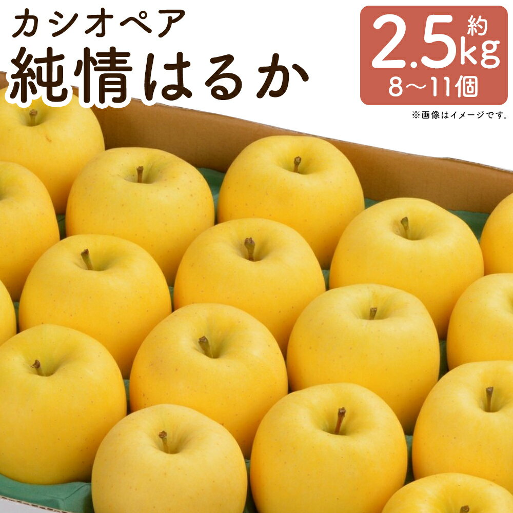 二戸産 カシオペア 純情はるか 化粧箱入り 計約2.5kg(8個〜11個) 黄色い りんご リンゴ 林檎 くだもの 果物 果実 フルーツ 甘味 香り 硬度 食感 岩手県産 国産 岩手県 二戸市 送料無料 [2025年12月上旬〜下旬発送予定]