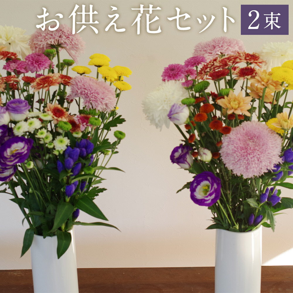 3位! 口コミ数「0件」評価「0」生産者直送 届いてすぐに飾れるお供え花セット 2束 マム リンドウ トルコキキョウ 1対 献花 お花 お盆 お墓参り 送料無料【2024年8･･･ 