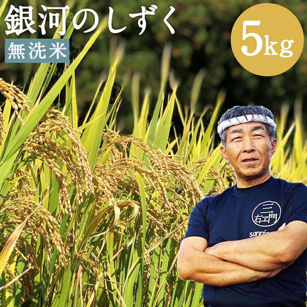 【ふるさと納税】すりたて農家直送 銀河のしずく 乾式無洗米 5kg 令和5年産 お米 白米 精米 東北 岩手県産 国産 送料無料