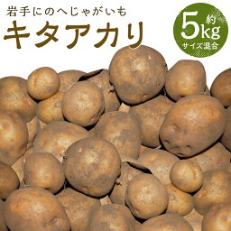 【ふるさと納税】厳選品 岩手にのへじゃがいも「伝」 キタアカリ 約5kg サイズ混合 じゃがいも 芋 じゃが芋 野菜 二戸市産 岩手県産 国産 送料無料【2024年9月中旬～2025年2月下旬に順次発送予定】