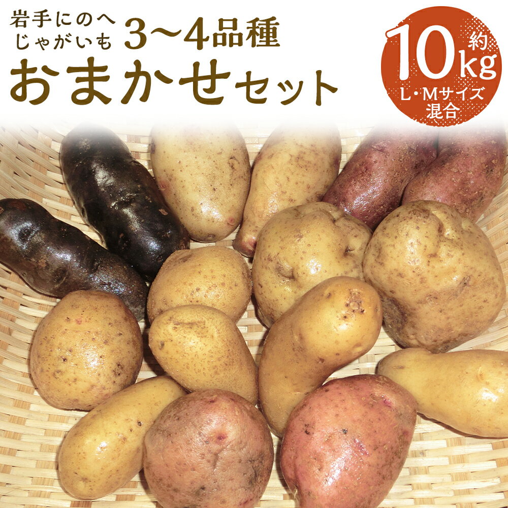 【ふるさと納税】厳選品 岩手にのへじゃがいも「伝」 3～4種 品種おまかせ 約10kg L・Mサイズ混合 ランダム おまかせ セット じゃがいも 芋 じゃが芋 野菜 二戸市産 岩手県産 国産 送料無料