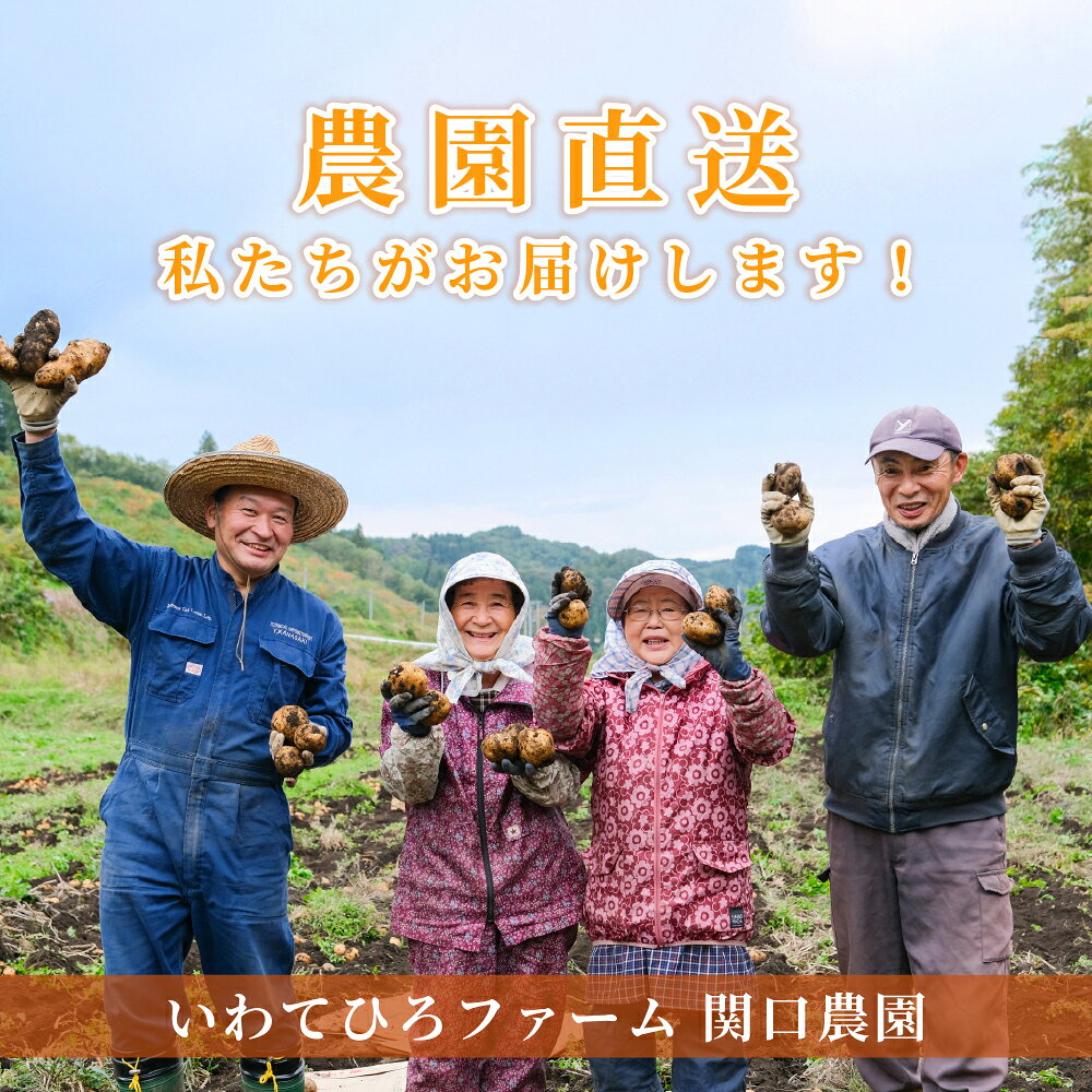 【ふるさと納税】【厳選品】岩手にのへじゃがいも「伝」メークイン（サイズ混合） 5kg ／ 化粧箱入り じゃがいも ジャガイモ じゃが芋 野菜 やさい 俵型 煮込み料理 おでん カレー シチュー お鍋 国産 岩手県産 二戸市 送料無料 【2026年9月上旬～2027年2月上旬発送予定】