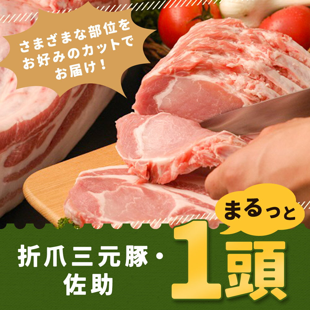 【ふるさと納税】折爪三元豚 佐助まるっと1頭 合計51kg ロース10kg 肩ロース5kg バラ10kg ヒレ1kg モモ15kg ウデ10kg 豚肉 ブロック スライス ひき肉 挽肉 しゃぶしゃぶ 焼肉 とんかつ 生姜焼き 大容量 岩手県産 国産 冷蔵 送料無料