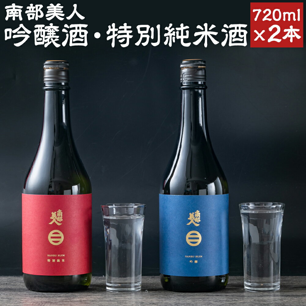 南部美人 吟醸酒 & 特別純米酒 セット 720ml×2本 2種類×各1本 飲み比べ ギフト箱入り お酒 山田錦 日本酒 ギフト 贈り物 送料無料