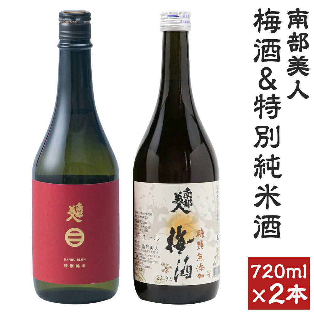 34位! 口コミ数「0件」評価「0」南部美人 梅酒＆特別純米酒セット 720ml×各1本 合計2本 ギフト箱入り 飲み比べ 詰め合わせ お酒 日本酒 リキュール 送料無料