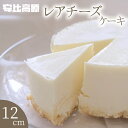 【ふるさと納税】 レアチーズケーキ 12cm 1個 300g