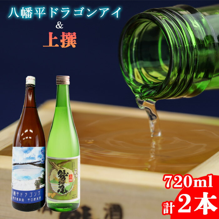 【ふるさと納税】 地酒 日本酒 鷲の尾 八幡平ドラゴンアイ 720ml 上撰 720ml 各1本 ／ わしの尾 酒 お酒 おさけ さけ アルコール お取り寄せ sake ご当地 お土産 贈答 家飲み 宅飲み 手土産 飲み会 自宅用 家庭用 晩酌 贈り物 ギフト 東北 岩手県 八幡平市 送料無料 澤口酒店