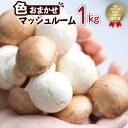  八幡平 マッシュルーム 1kg 色はおまかせ ／ ブラウン ホワイト 1キロ 生食 きのこ キノコ 茸 サラダ カルパッチョ アヒージョ ピザ パスタ おつまみ 焼く 煮る 揚げる 調理 料理 自宅用 家庭用 和食 洋食 スープ ジオファーム 岩手県 八幡平市 送料無料