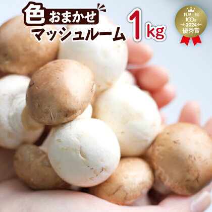 八幡平 マッシュルーム 1kg 色はおまかせ ／ ブラウン ホワイト 1キロ 生食 きのこ キノコ 茸 サラダ カルパッチョ アヒージョ ピザ パスタ おつまみ 焼く 煮る 揚げる 調理 料理 自宅用 家庭用 和食 洋食 スープ ジオファーム 岩手県 八幡平市 送料無料