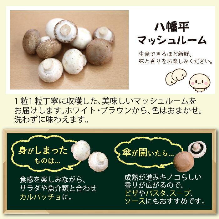 岩手県八幡平市の画像2