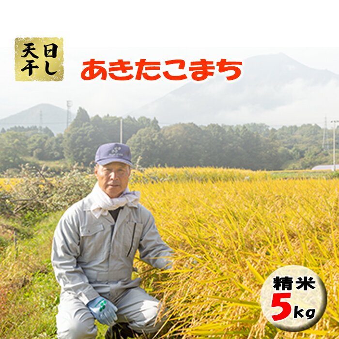 伊藤家 天日干し米 あきたこまち 精米 5kg 1袋 / 白米 米 コメ こめ お米 おこめ ご飯 ごはん 御飯 ライス 国内産 国産 はぜ掛け はざ掛け 家庭用 自宅用 天日干し お取り寄せ 自然乾燥 5キロ 一袋 プレゼント 贈り物 岩手県 八幡平市 送料無料 産地直送