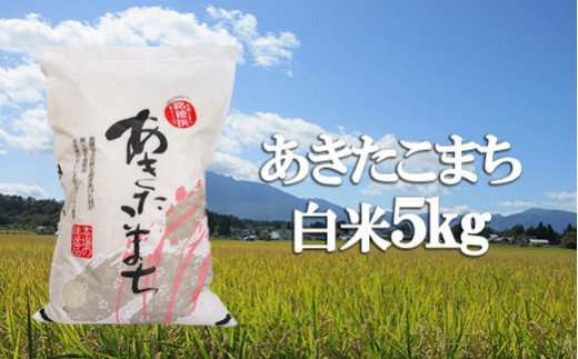 【ふるさと納税】 【あきたこまち】 精米 5kg ／ 白米 産地直送 【かきのうえ】...