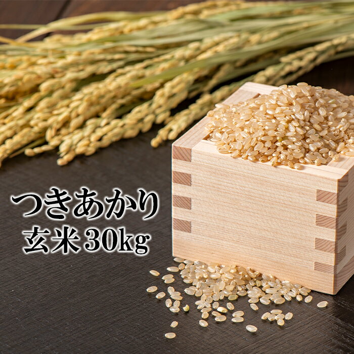 【ふるさと納税】 【つきあかり】 玄米 30kg （ 10kg × 3袋 ） ／ 新米 米 産地直送 【かきのうえ】 30キロ ご飯 ごはん げんまい 飯 お米 国内産 国産 ライス こめ コメ 農家直送 東北 家庭用 自宅用 仕送り おこめ 取寄せ 取り寄せ お取り寄せ 岩手県 八幡平市 送料無料のサムネイル