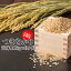 【ふるさと納税】 【つきあかり】 玄米 10kg ( 3ヶ月 定期便 ) / 新米 米 産地直送 【かきのうえ】 総量 30キロ ご飯 ごはん 飯 お米 国内産 国産 ライス こめ コメ 農家直送 東北 家庭用 自宅用 おこめ 取寄せ 取寄せ 仕送り お取り寄せ 定期 岩手県 八幡平市 送料無料 45,000円