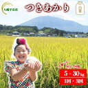 【ふるさと納税】 【令和7年産】【先行予約】 2025年産 岩手県産 米 こめ お米 精米 選べる 発送回数 1回 3回 容量 5kg 10kg 30kg つき...