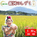 【ふるさと納税】 【令和7年産】【先行予約】 2025年産 岩手県産 米 こめ お米 精米 選べる 発送回数 1回 3回 容量 5kg 10kg 30kg 銀河...