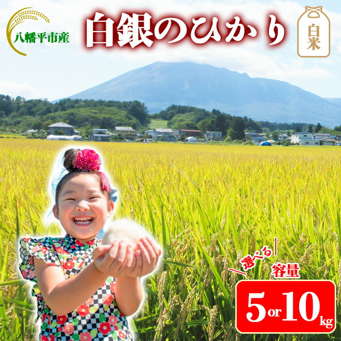 【ふるさと納税】 【令和7年産】【先行予約】 2025年産 岩手県産 米 こめ お米 精米 選べる 容量 5kg 10kg 岩手141号 白銀のひかり / 白米...