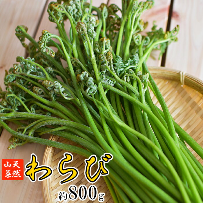 【ふるさと納税】 期間限定 天然山菜 わらび 約 800g 