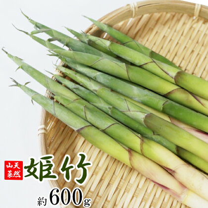 期間限定 天然山菜 竹の子 約 600g ／ じじちゃんのいぶり大根 採れたて タケノコ 筍 皮付き 春 旬 料理 天ぷら 素焼き 炊き込みご飯 味噌汁 煮物 七輪 グルメ たけのこ 姫竹 ヒメタケ 根曲がり マヨネーズ和え 岩手県 八幡平市 産地直送 送料無料