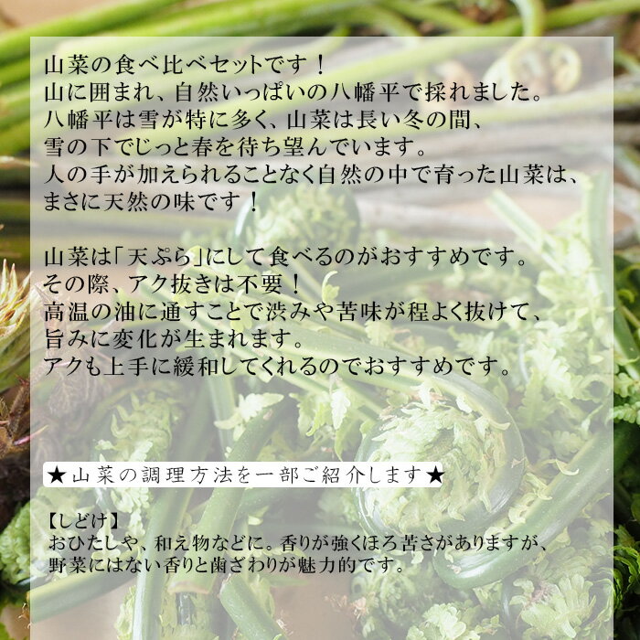 【ふるさと納税】 期間限定 天然山菜 食べ比べ セット 約 300g ／ じじちゃん 天ぷら 春 旬 山菜 こごみ しどけ ぼうな たらの芽 こしあぶらうど わらび うるい 姫竹 和え物 おひたし サラダ 天ぷら おかず 天然 グルメ 春の味覚 春の味 岩手県 八幡平市 産地直送 送料無料