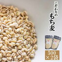 【ふるさと納税】 国産 もち麦 おすすめ もちむぎ はねうまもち 計1kg 500g 2袋 / 雑穀 国産 500グラム 二袋 総量 1kg 1キロ 岩手県産 ...