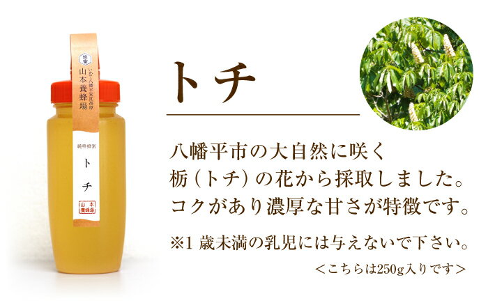 【ふるさと納税】 国産 純粋 はちみつ トチ 250g 山本養蜂場 ／ 蜂蜜 ハチミツ 栃 とち 250グラム 濃厚 希少 稀少 天然 ギフト 贈り物 贈答用 家庭用 自宅用 お取り寄せ ヨーグルト ホットケーキ 常温発送 長期保存 手土産 東北 おすすめ 岩手県 八幡平市 産地直送 送料無料