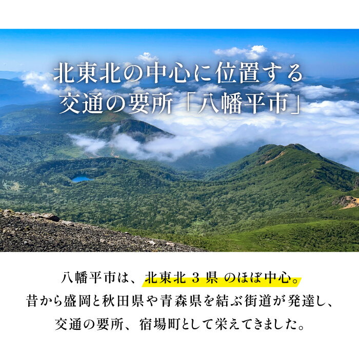 【ふるさと納税】【楽天限定】宿泊券 旅行 岩手県八幡平市の対象施設で使える楽天トラベルクーポン 寄附額500,000円 おすすめ 温泉 旅行券 旅行クーポン 宿泊 ホテル スキー 旅館 利用券 チケット クーポン 観光その2