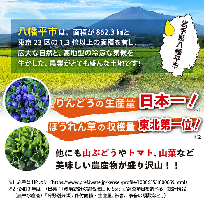 【ふるさと納税】定期便 ふるさと産直箱(小) 5〜7品 2ヶ月おき4回 / 採れたて 新鮮 野菜セット おまかせ 詰合せ 詰め合わせ セット ご当地 果物 フルーツ 加工品 山菜 厳選 やさい おすすめ 産地直送 食品 食材 自宅用 お取り寄せ 東北 あすぴーて 八幡平市 岩手県 送料無料