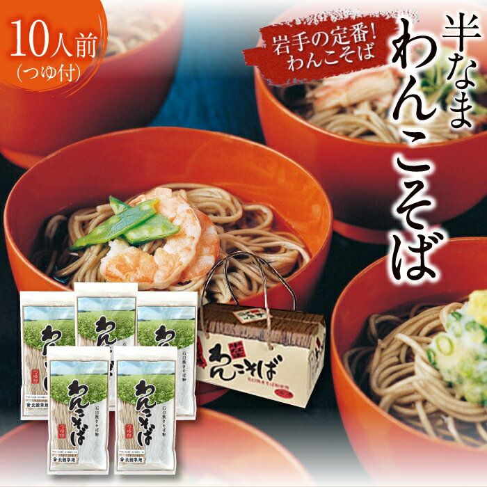【ふるさと納税】北舘製麺 半なま わんこそば 10人前 (KW-B) / つゆ付き めんつゆ つゆ そばつゆ わんこ蕎麦 ソバ そば 半生蕎麦 石臼挽き 贈答 ギフト お中元 お歳暮 手土産 名物 ご当地グルメ おすすめ 年越し 正月 おみやげ お土産 箱入り 岩手県 八幡平市 送料無料