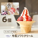 【ふるさと納税】アイスクリーム ソフトクリーム アイス工房 Nollegretto 牛乳ソフトクリーム 5種 計6個 トッピング付き / アイス デザート スイ...