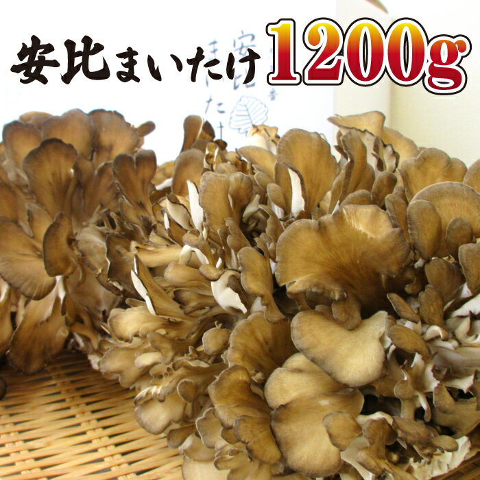 【ふるさと納税】 生まいたけ 大株 1.2kg ／ 安比まいたけ 1200g 舞茸 まいたけ マイタケ きのこ キノコ 茸 野菜 贈り物 贈物 プレゼント 贈答用 自宅用 家庭用 味噌汁 炊き込みご飯 カレー シ…