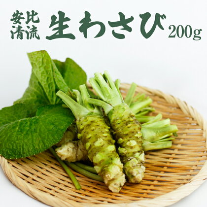 安比清流山葵園 生わさび 200g ／ ワサビ 生 わさび 山葵 調味料 薬味 刺身 ステーキ 蕎麦 和え物 漬け物 刻み おろし 辛味 和食 wasabi お取り寄せ 寿司 そば ソバ 新鮮 肉 料理 自宅用 家庭用 200グラム 取寄せ 国産 産地直送 岩手県 八幡平市 送料無料