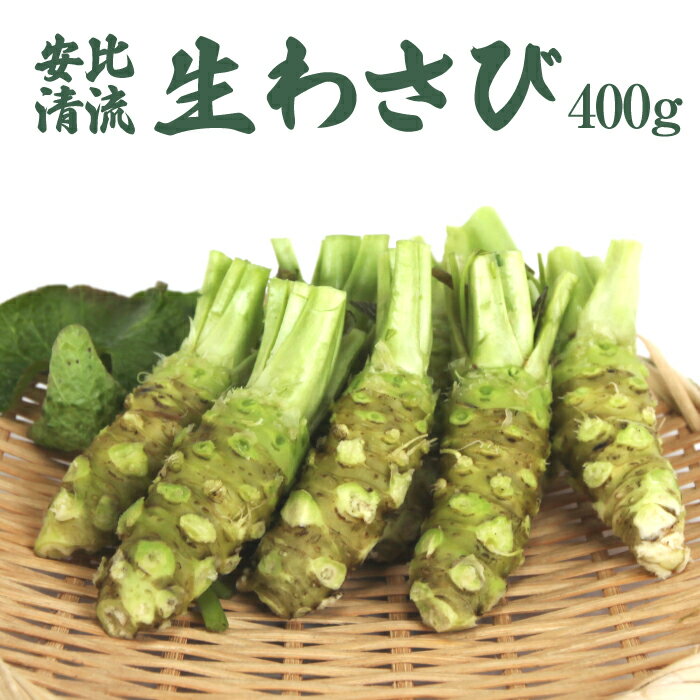  安比清流山葵園 生わさび 400g ／ 生 わさび ワサビ 山葵 調味料 薬味 刺身 ステーキ 蕎麦 お蕎麦 和え物 漬け物 刻み おろし 辛味 和食 お取り寄せ 寿司 そば 新鮮 料理 自宅用 家庭用 お刺身 お肉 わさび丼 オススメ 産地直送 岩手県 八幡平市 送料無料