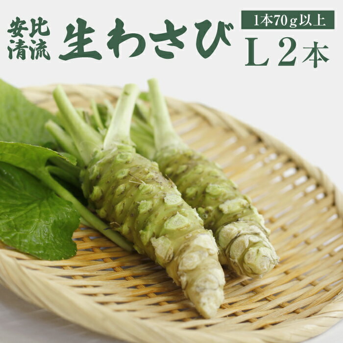 yӂ邳Ɣ[Łz䐴R 킳 LTCY 2{ Zbg 1{70gȏm ^  킳 Tr R   hg Xe[L  a Ђ  낵 h  aH wasabi  i  VN Yn IXX 茧 s 