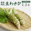 【ふるさと納税】 岩手県産 わさび 山葵 安比清流山葵園 生わさび Lサイズ 2本セット ◆1本70g以上確約◆ / 生山葵 生ワサビ 生 ワサビ 調味料 薬味 和食 刺身 辛味 蕎麦 おそば お肉 ステーキ 和え物 漬け物 おろし 新鮮 国産 産地直送 おすすめ 岩手県 八幡平市 送料無料