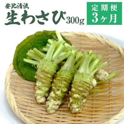 安比清流山葵園 国産 生わさび 300g 定期便 3ヶ月 ／ 総計 900g 900グラム 生わさび ワサビ 山葵 調味料 薬味 刺身 ステーキ 蕎麦 和え物 漬け物 刻み おろし 辛味 和食 wasabi お取り寄せ 寿司 新鮮 肉料理 自宅用 定期 産地直送 岩手県 八幡平市 送料無料