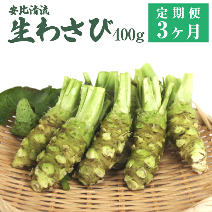 安比清流山葵園 国産 生わさび 400g 定期便 3ヶ月 ／ 総計 1200g 生 わさび ワサビ 山葵 調味料 薬味 刺身 ステーキ 蕎麦 和え物 漬け物 刻み おろし 辛味 和食 wasabi お取り寄せ 寿司 新鮮 肉料理 定期 家庭用 自宅用 産地直送 岩手県 八幡平市 送料無料