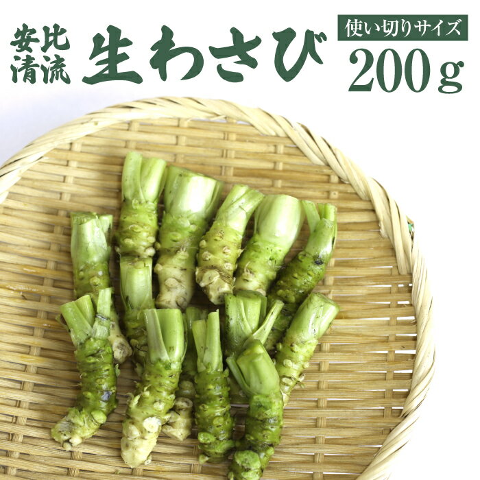 安比清流山葵園 国産 生わさび 使い切りサイズ 200g / 生 わさび ワサビ 山葵 調味料 薬味 刺身 ステーキ 蕎麦 和え物 漬け物 刻み おろし 辛味 和食 小ぶり お取り寄せ 寿司 そば ソバ 新鮮 自宅用 家庭用 肉料理 産地直送 岩手県 八幡平市 送料無料