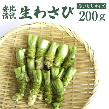 安比清流山葵園 国産 生わさび 使い切りサイズ 200g ／ 生 わさび ワサビ 山葵 調味料 薬味 刺身 ステーキ 蕎麦 和え物 漬け物 刻み おろし 辛味 和食 小ぶり お取り寄せ 寿司 そば ソバ 新鮮 自宅用 家庭用 肉料理 産地直送 岩手県 八幡平市 送料無料