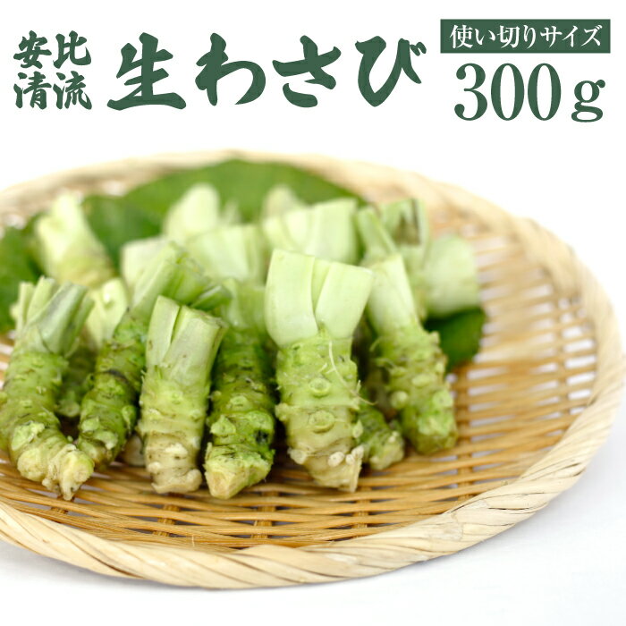 その他野菜(その他)人気ランク18位　口コミ数「1件」評価「4」「【ふるさと納税】安比清流山葵園 生わさび 使い切りサイズ 300g ／ 生 わさび 小 小さめ ワサビ 山葵 調味料 薬味 刺身 ステーキ 蕎麦 和え物 漬け物 刻み おろし 辛味 和食 お取り寄せ 寿司 そば 新鮮 料理 自宅用 家庭用 オススメ 産地直送 ミニ 岩手県 八幡平市 送料無料」