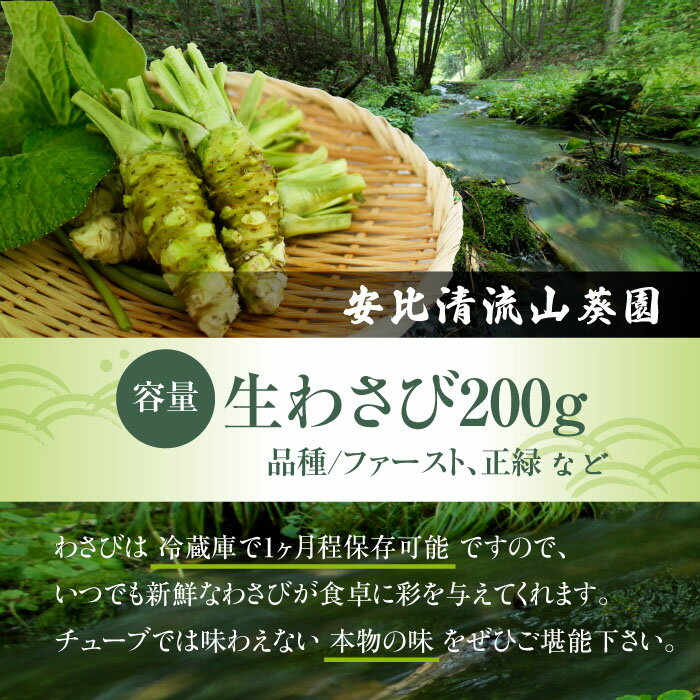 【ふるさと納税】 安比清流山葵園 生わさび 200g ／ ワサビ 生 わさび 山葵 調味料 薬味 刺身 ステーキ 蕎麦 和え物 漬け物 刻み おろし 辛味 和食 wasabi お取り寄せ 寿司 そば ソバ 新鮮 肉 料理 自宅用 家庭用 200グラム 取寄せ 国産 産地直送 岩手県 八幡平市 送料無料