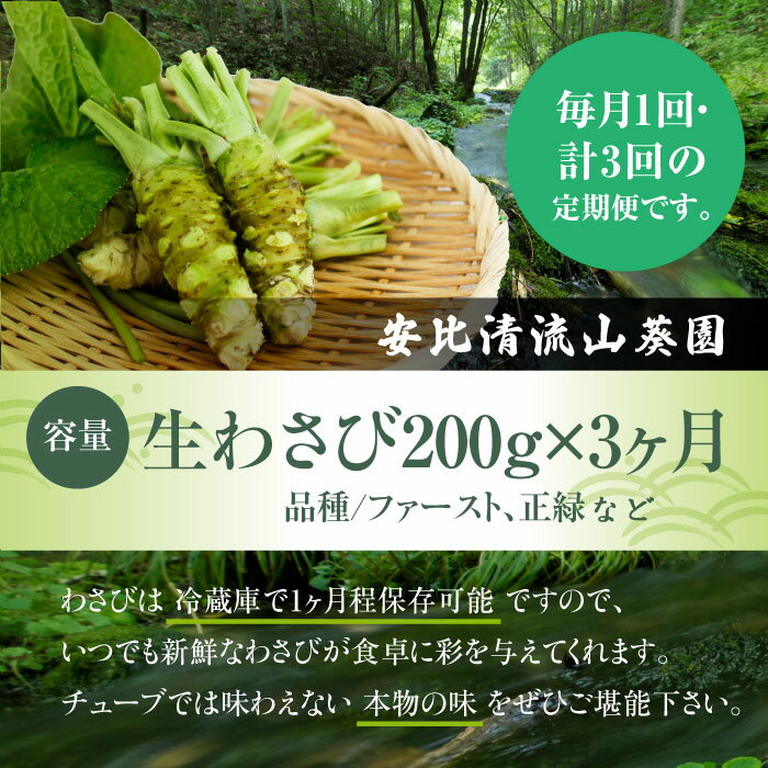 【ふるさと納税】 安比清流山葵園 国産 生わさび 200g 定期便 3ヶ月 ／ 総計 600g 生 わさび ワサビ 山葵 調味料 薬味 刺身 ステーキ 蕎麦 和え物 漬け物 刻み おろし 辛味 和食 wasabi お取り寄せ 寿司 新鮮 肉 料理 自宅用 定期 3回 産地直送 岩手県 八幡平市 送料無料