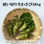 ڤդ뤵Ǽǡ۰ή  蘆 Ȥڤꥵ 100g  掠  蘆  Ĵ̣ ̣ ɿ ơ  ¤ʪ Ҥʪ   ̣ ¿ wasabi           ľ 긩 ȬȨʿ ̵