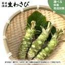 【ふるさと納税】 岩手県産 わさび 山葵 安比清流山葵園 生わさび 選べる 容量 100g 200g 300g 400g 発送回数 単発便 3ヶ月 定期便 / ...