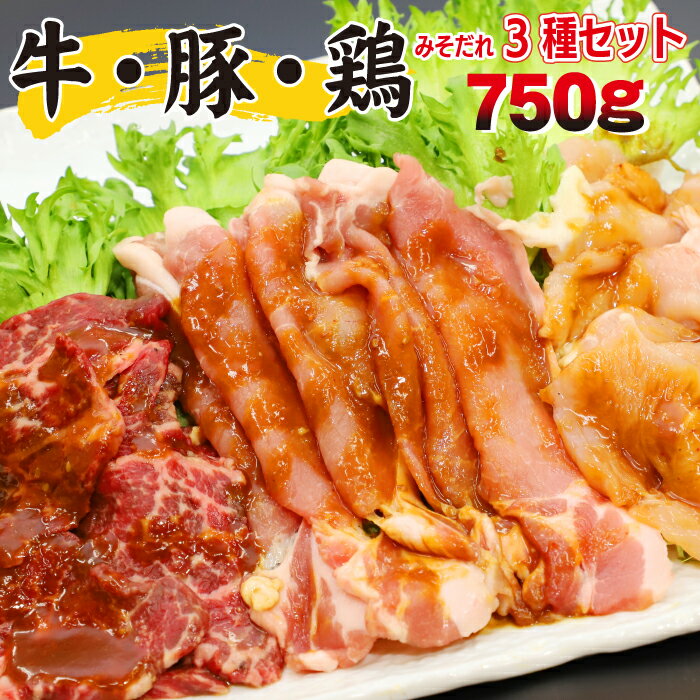 【ふるさと納税】 肉のささき 秘伝のみそだれ 牛 豚 鶏 3種 セット 計750g ／ 牛カルビ 豚ロース 鶏む..