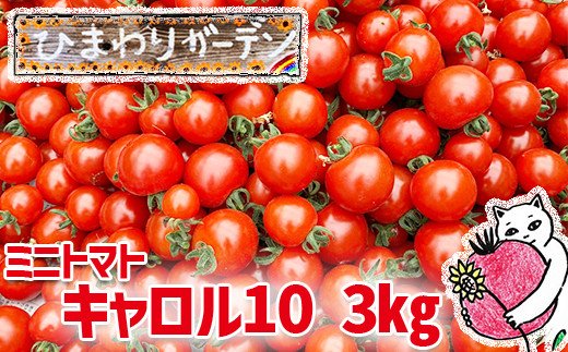 【ふるさと納税】 EM栽培 ミニトマト キャロル10 約 3kg ／ とまと トマト サラダ ジュース お弁当 夏野菜 野菜 プチトマト お取り寄せ 新鮮 新鮮野菜 旬 旬野菜 3キロ 甘い 家庭用 自宅用 期間限定 季節限定 産地直送 農家直送 岩手県 八幡平市 送料無料 ひまわりガーデン