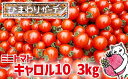 10位! 口コミ数「4件」評価「5」 EM栽培 ミニトマト キャロル10 約 3kg ／ とまと トマト サラダ ジュース お弁当 夏野菜 野菜 プチトマト お取り寄せ 新鮮 ･･･ 