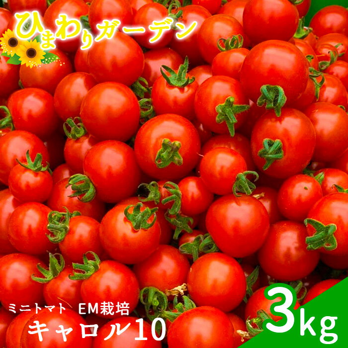 【ふるさと納税】 ミニトマト おすすめ キャロル10 約3kg ／ トマト とまと プチトマト 夏野菜 野菜 ...