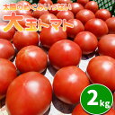 7位! 口コミ数「3件」評価「3.33」 こだわり 大玉 トマト 約 2kg ／ とまと 新鮮 野菜 2キロ やさい 夏 旬 旬野菜 夏野菜 国産 国内産 季節限定 季節野菜 サラ･･･ 